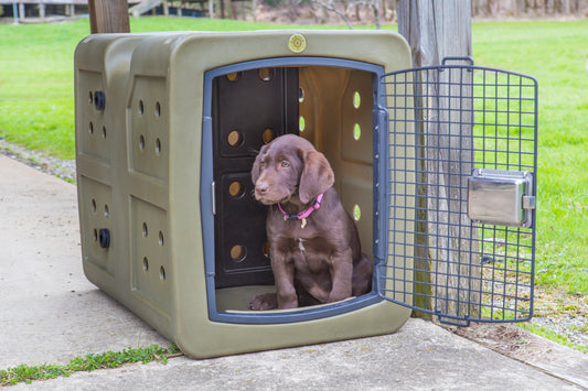 Find Out the Ideal Kennel Size for Your Dog: A Step-by-Step Guide