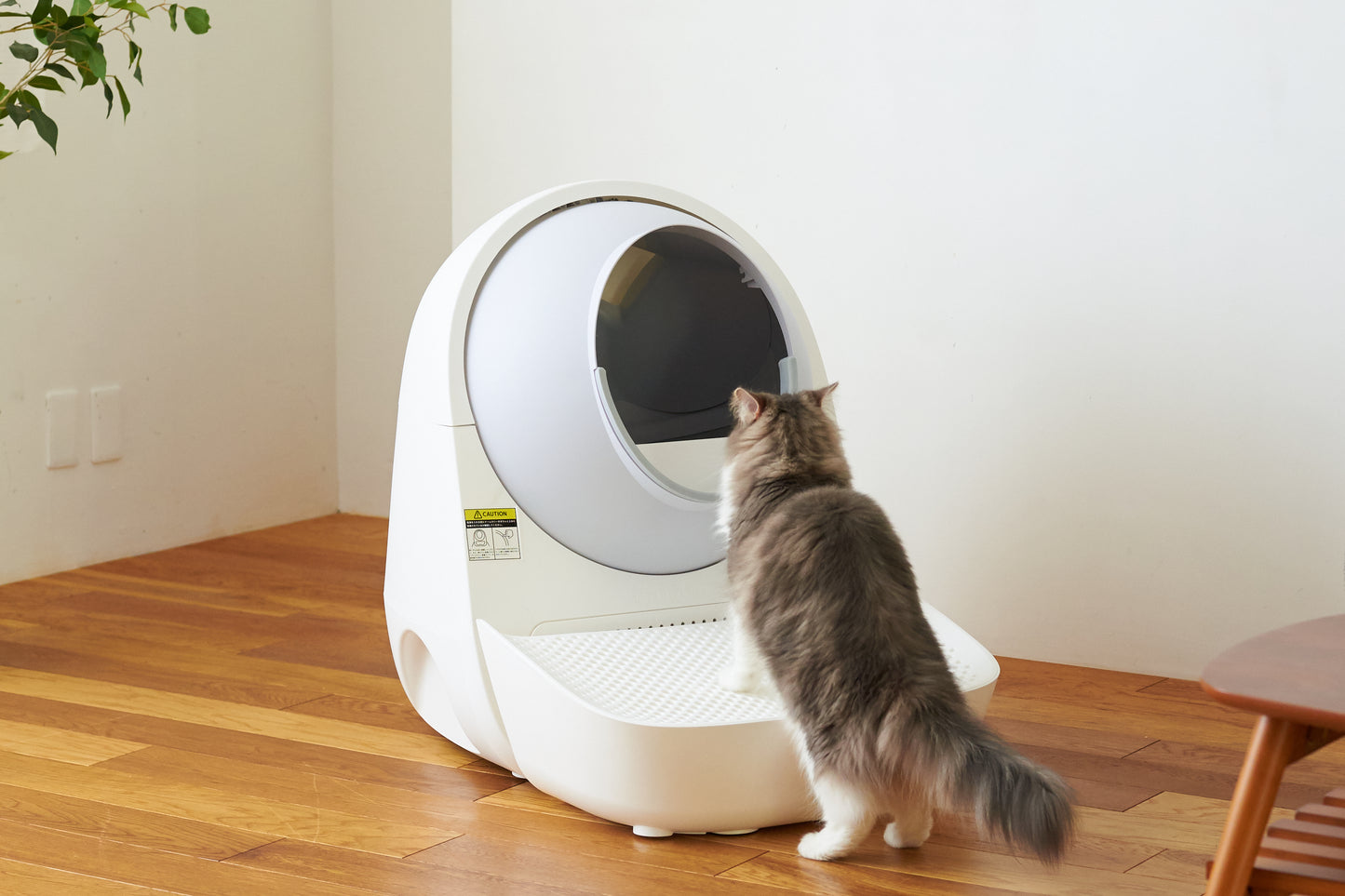 CatLink Self Cleaning Litter Box - Scooper Luxury Pro-X