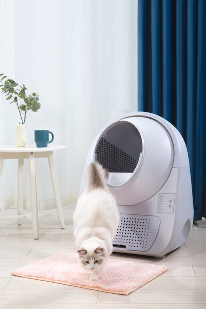 CatLink Self Cleaning Litter Box - Scooper Young Pro-X