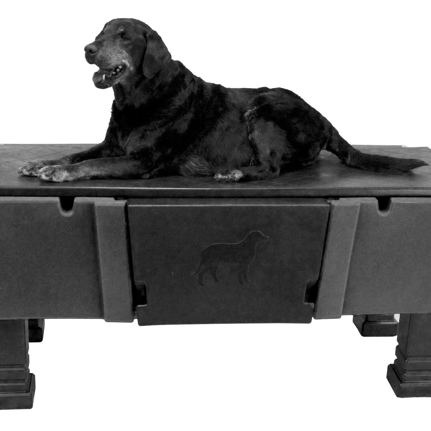 Groom-Pro Pet Tub - Dark Granite