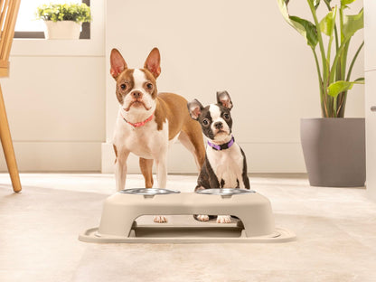 WeatherTech Double High Pet Feeding System