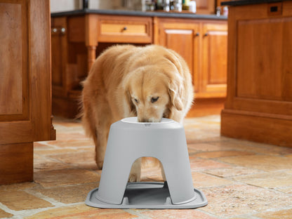 WeatherTech Single High Pet Feeding System