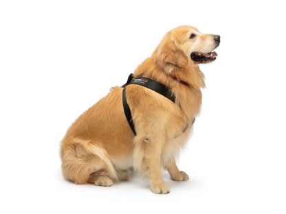 WeatherTech Pet Safety Harness